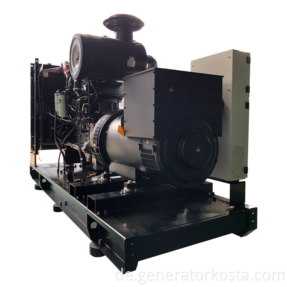 Diesel Generator Set 